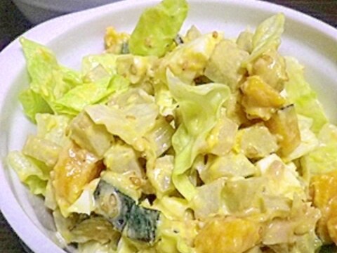 地味な根菜サラダのおしゃレタスじたて